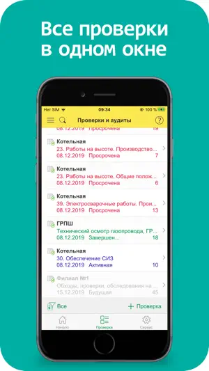 Проверки и аудиты screenshot 2