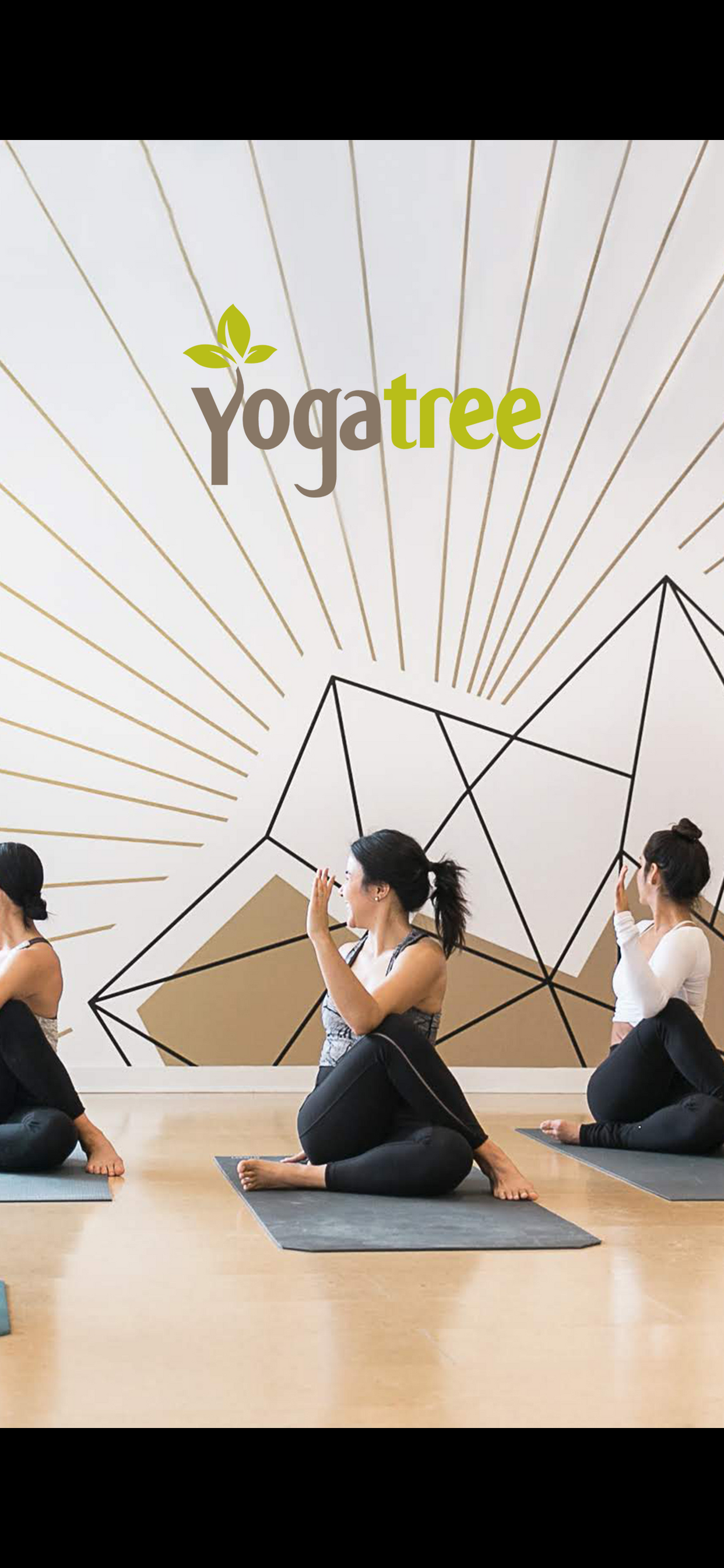 Yoga Tree