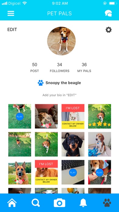 Screenshot #2 pour Pet Pals - Community for Pets