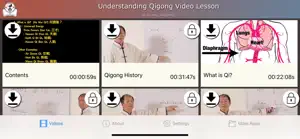 Understanding Qigong Video screenshot #1 for iPhone