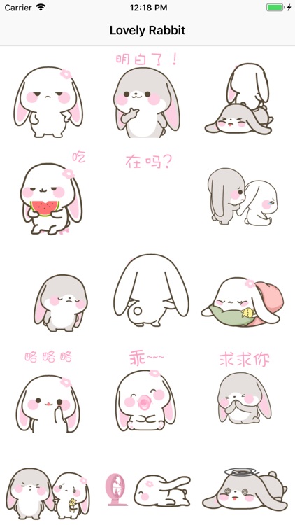 Lovely Rabbit