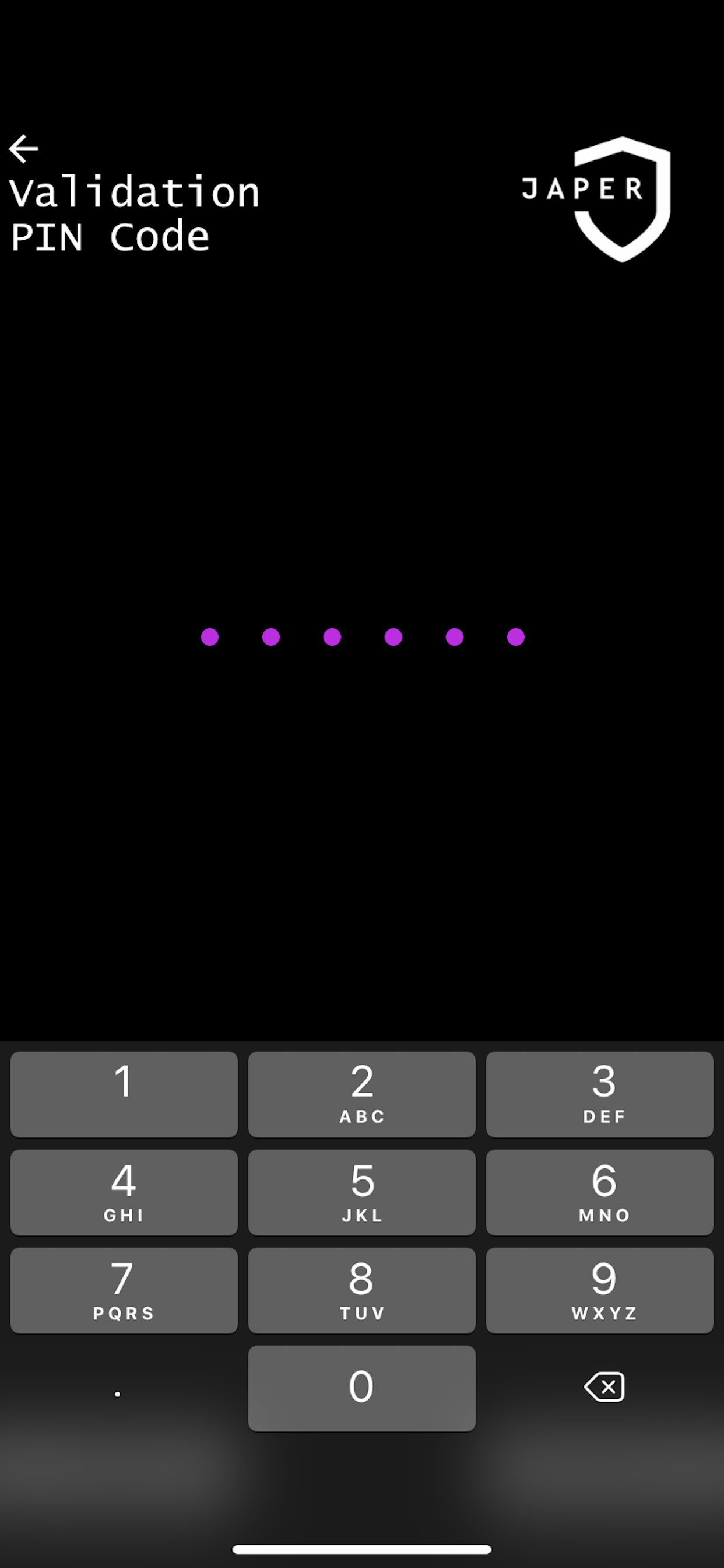 JAPER screenshot 6