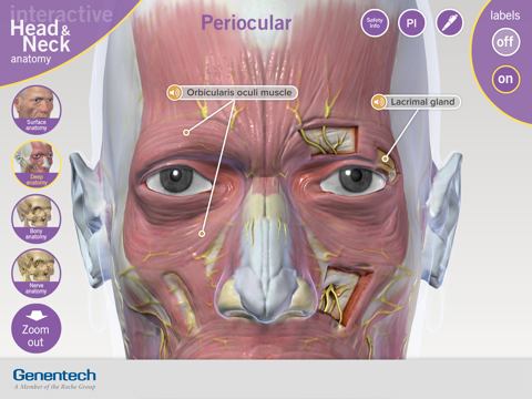 3D Facial Anatomy Tool screenshot 2