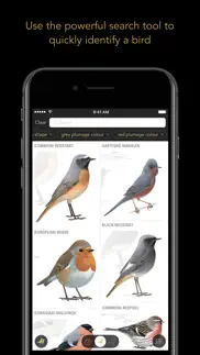 collins british bird guide iphone screenshot 3