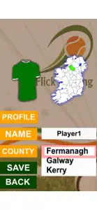 Flick Hurling screenshot #2 for iPhone