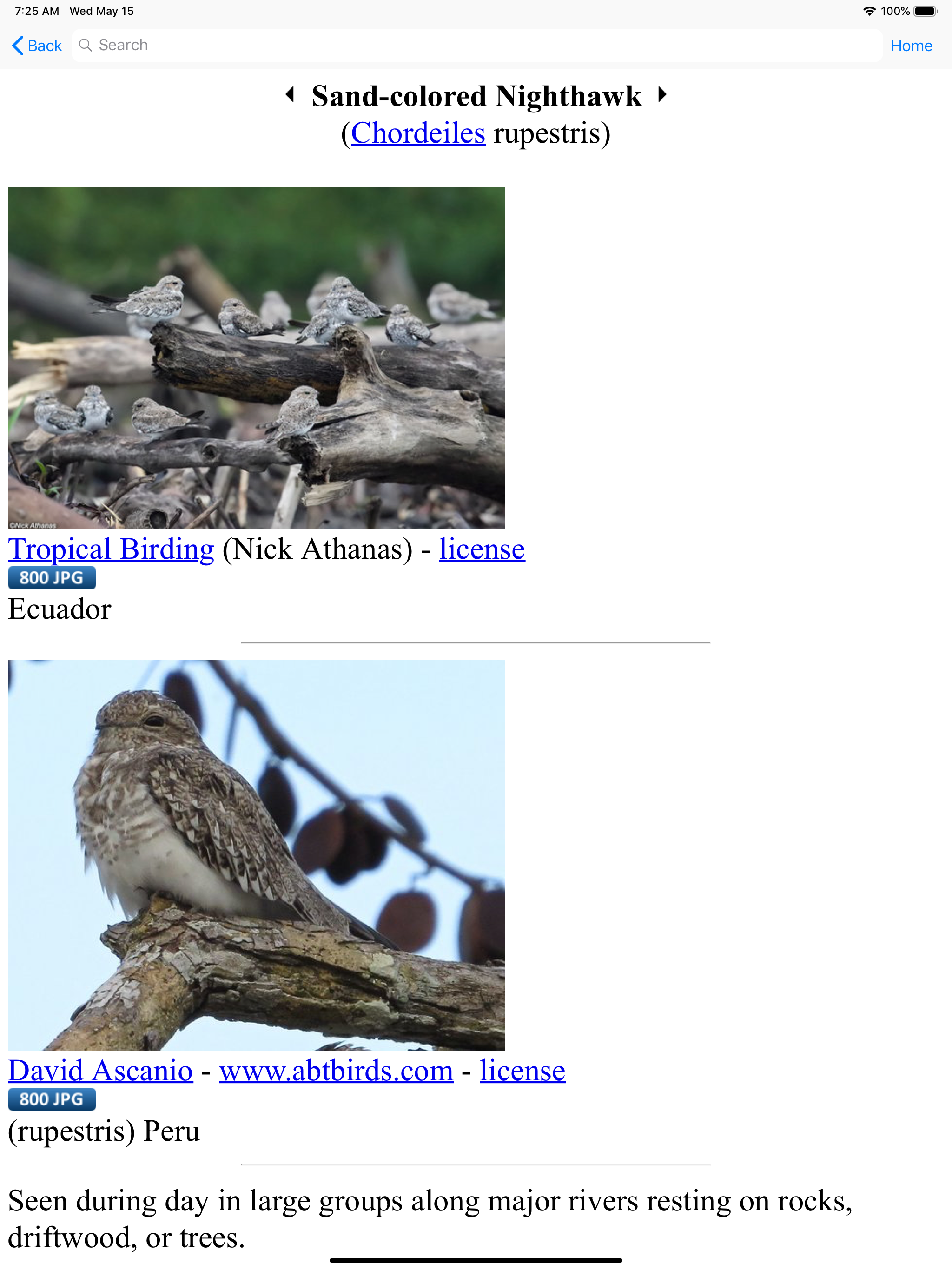 Bird Data