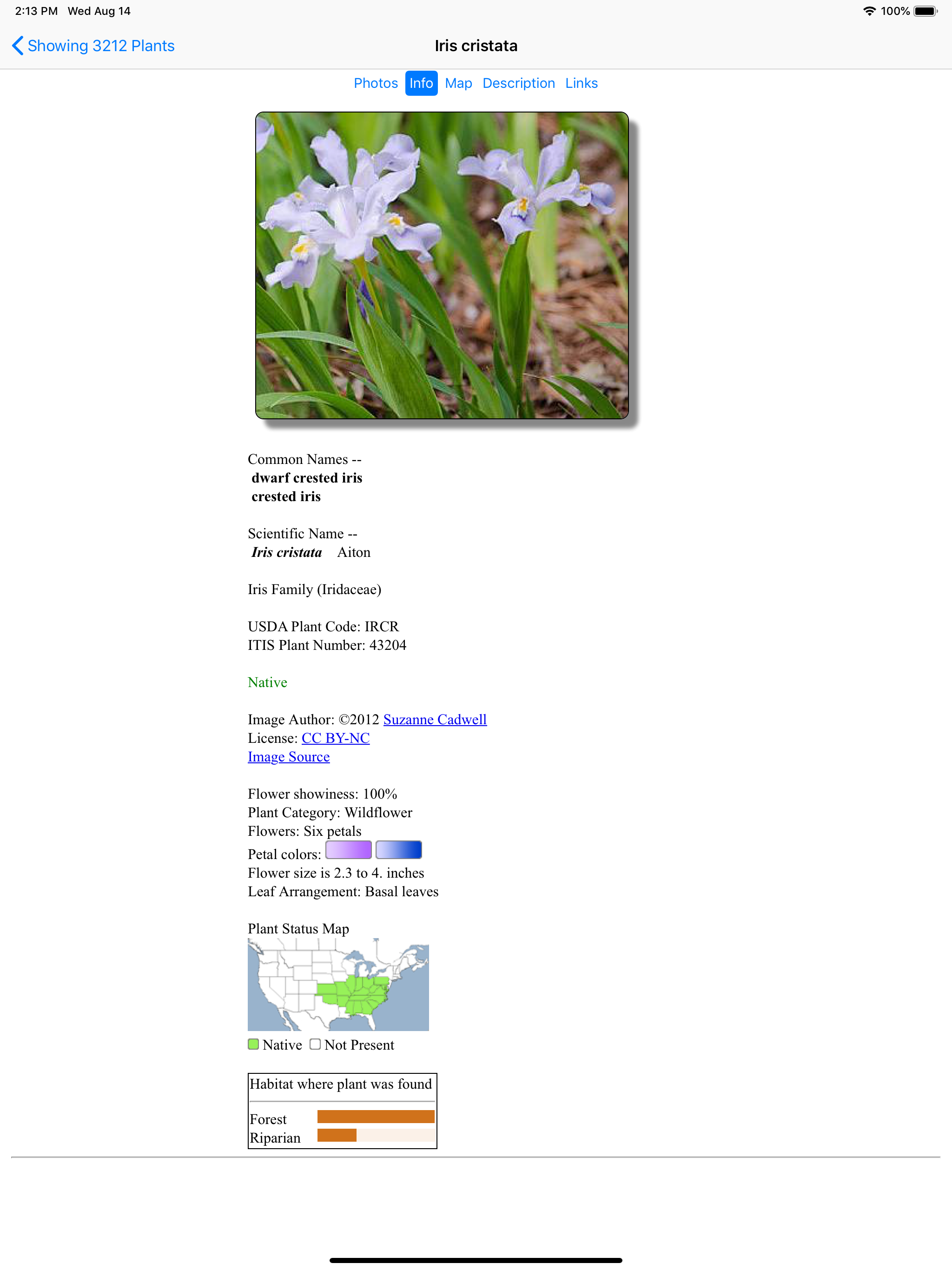 Georgia Wildflowers