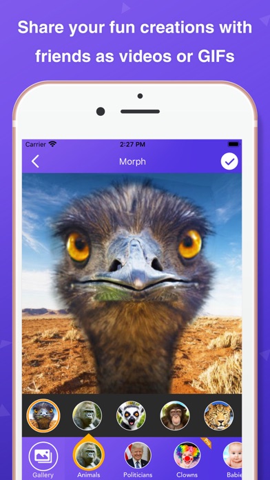 Pic Morph - Photo Face Swap Screenshot