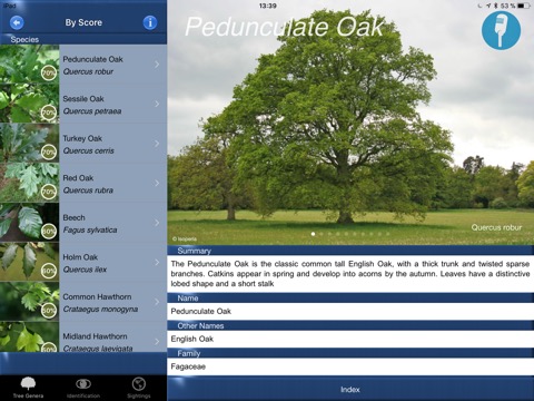 Tree Id identify UK treesのおすすめ画像7