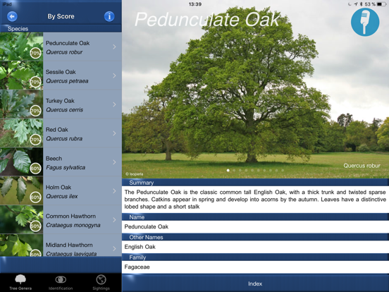 Tree Id identify UK trees iPad screenshot 7 - Reference app