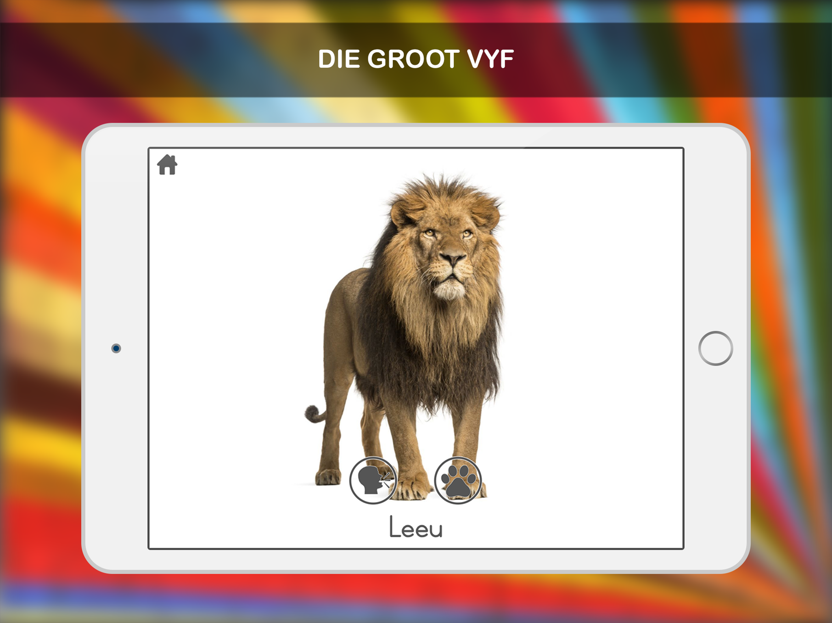 100+ Dieregeluide in Afrikaans