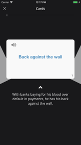 English idioms in use screenshot