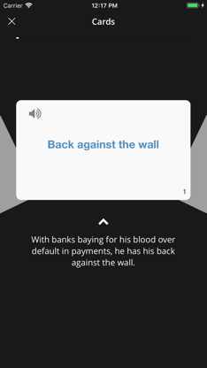 English idioms in use screenshot 5