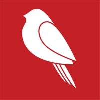 朱鹊医访 pour PC