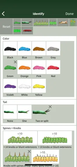 Game screenshot Caterpillar Id USA East Coast hack
