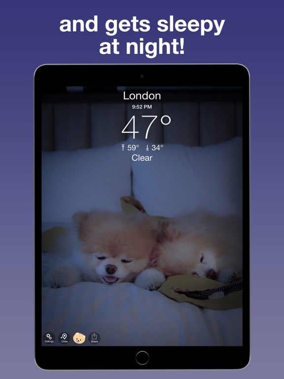 Boo Weather: Pomeranian Puppyのおすすめ画像3