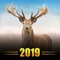 Deer Hunt Challenge Reloaded