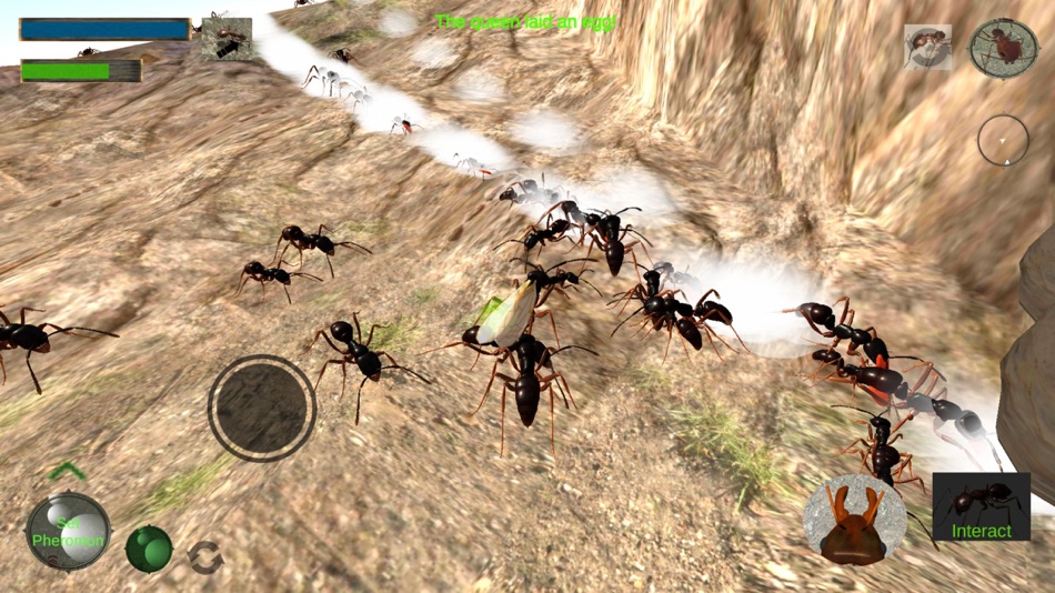 #7. Ant Simulation 3D (iOS) 由: mnhksdevelopment