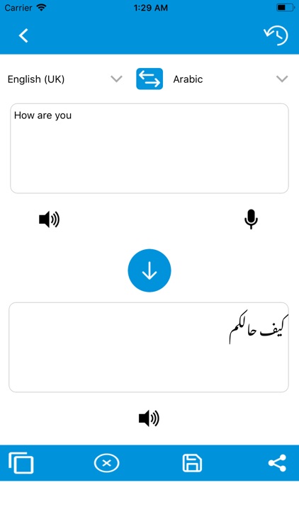 All Language Voice Translation