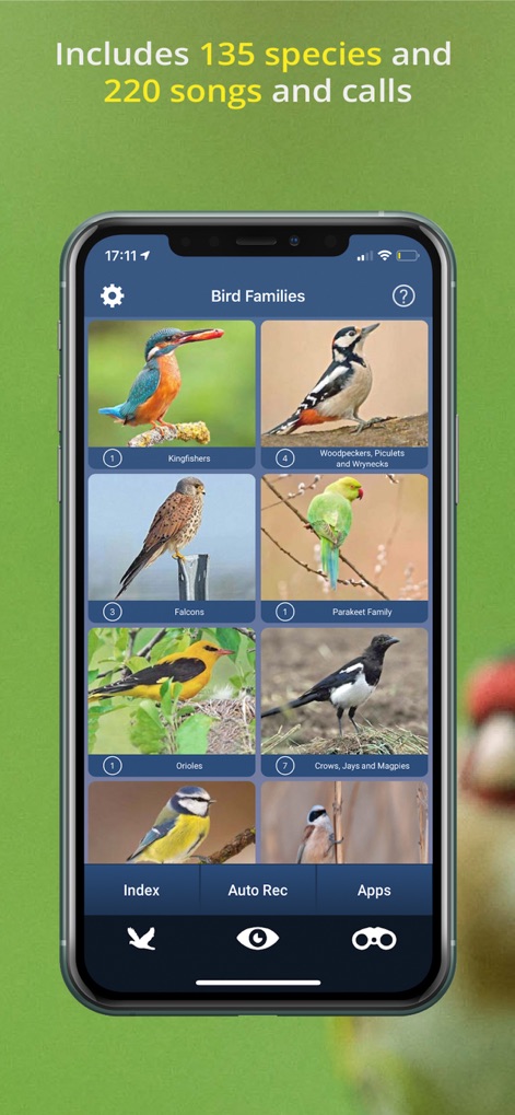 Bird Song Id UK - bird-song-id-uk-families-list