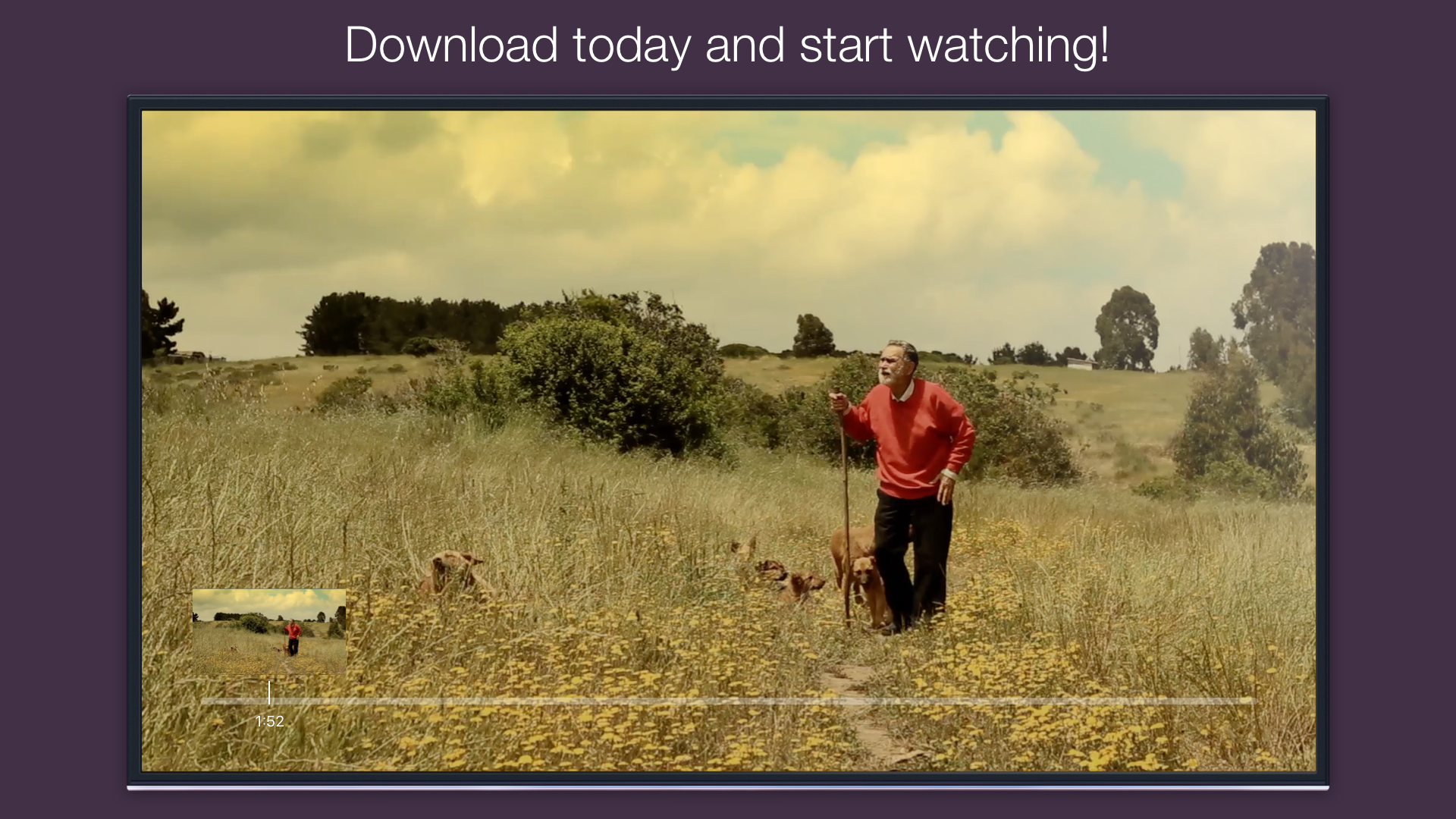 HighballTV screenshot 15
