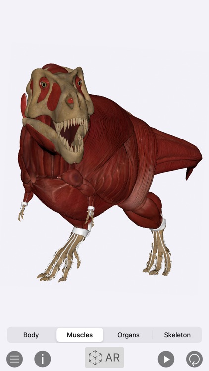 World of Dinosaurs screenshot-5