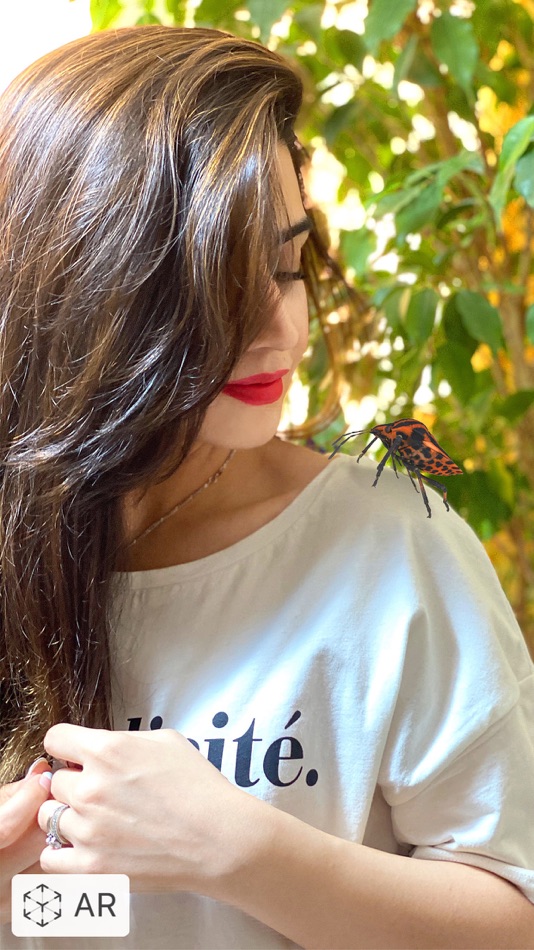 #5. Insecta - Study Insects in AR (macOS) 由: Samira Sadeghi