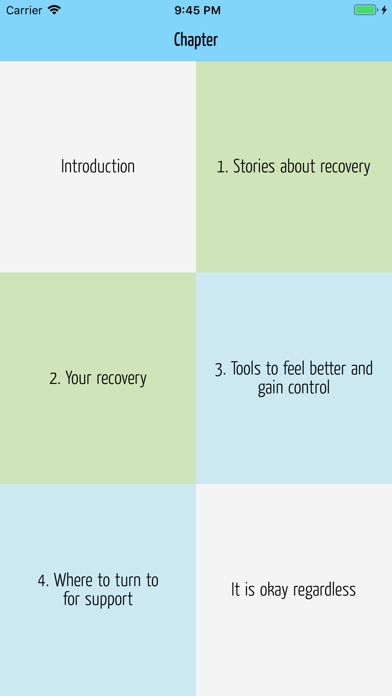 Recovery Guide screenshot 2