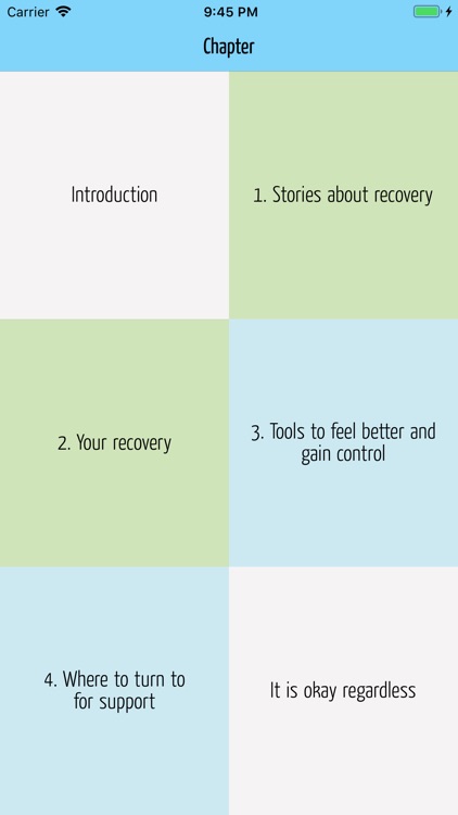 Recovery Guide