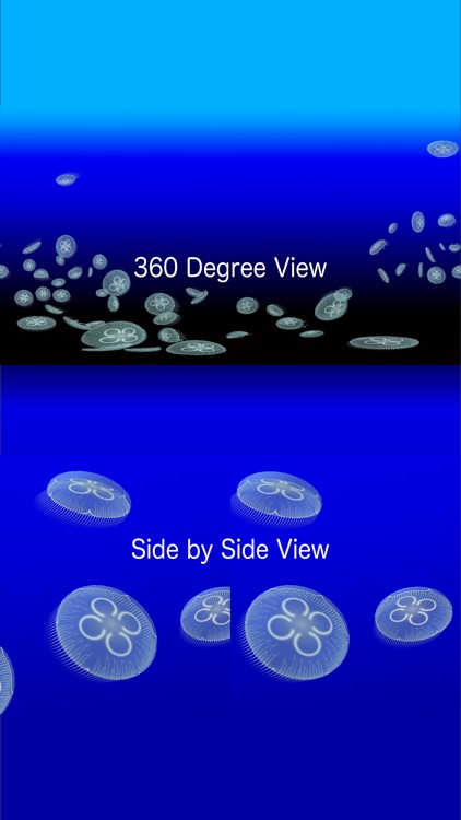 Jellyfish AR/VR screenshot-3