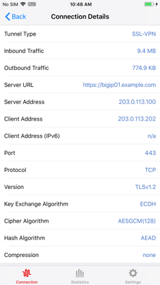 F5 Access screenshot 2
