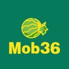 Mob36WatermelonFertilization