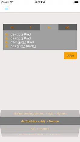 Game screenshot German Adjective Endings apk