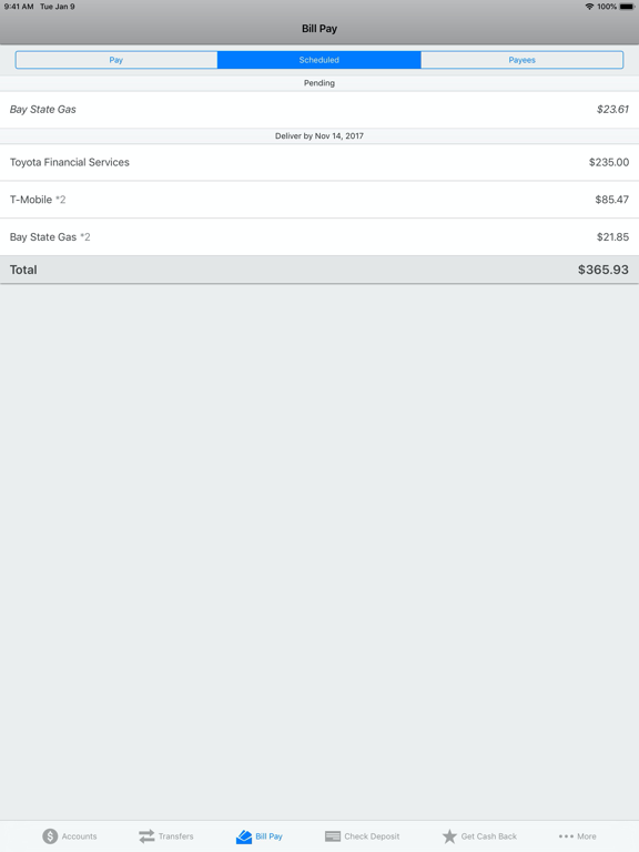 Needham Bank Mobile Banking iPad screenshot 8 - Finance app