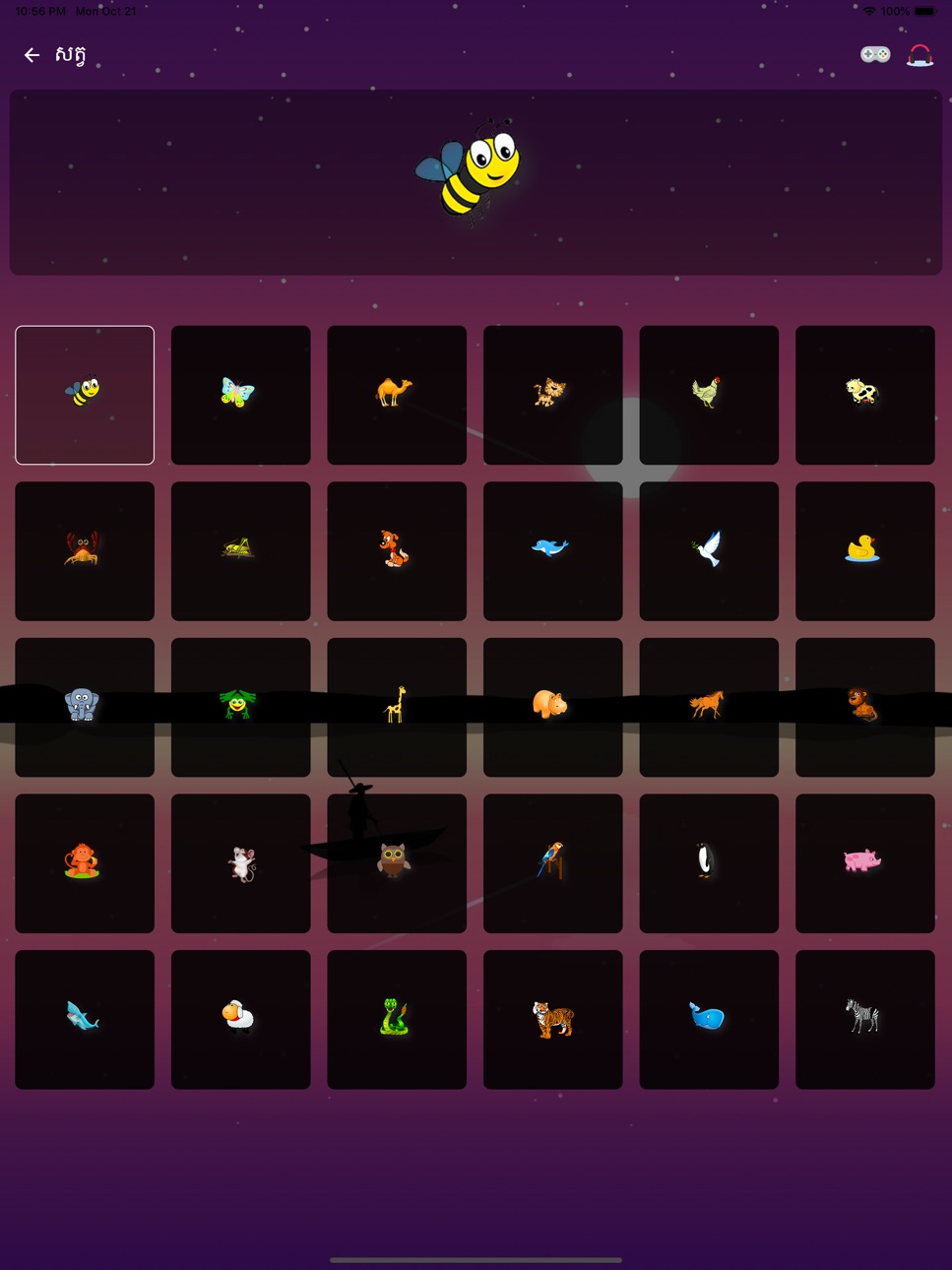 iPad screenshot