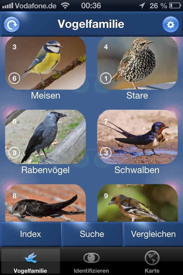 Vogel Id Schweiz screenshot 2