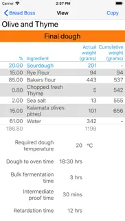 bread boss problems & solutions and troubleshooting guide - 1