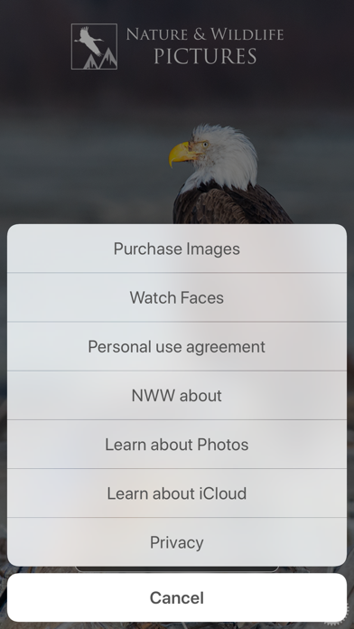 Nature and Wildlife Pictures Screenshot
