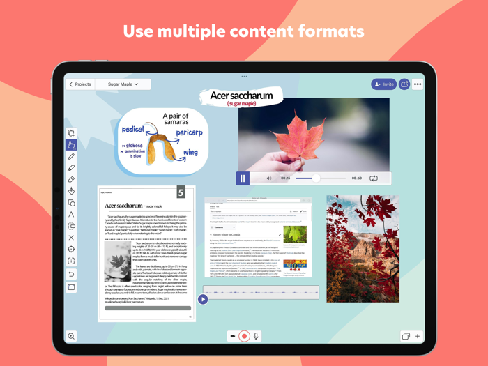 Explain Everything Whiteboard