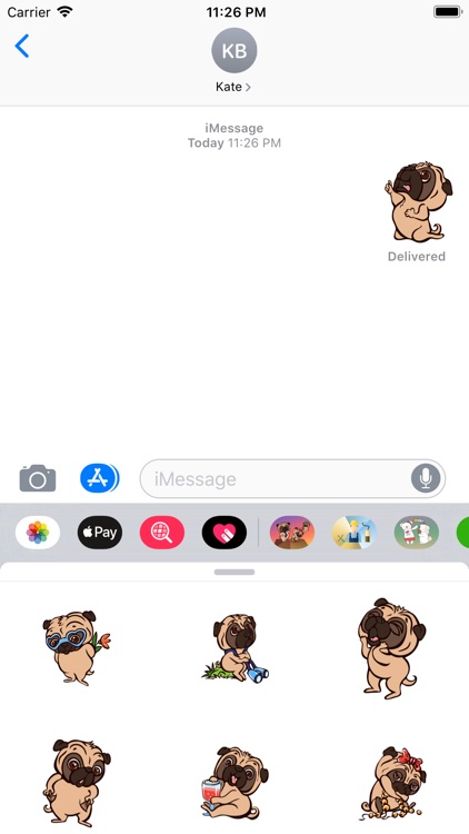 ILoveCutePugStc