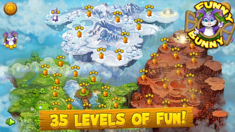 Funny Bunny Adventures