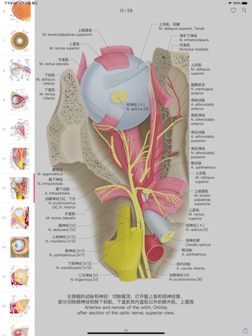 眼部解剖图谱-高清中英文标注图谱のおすすめ画像3