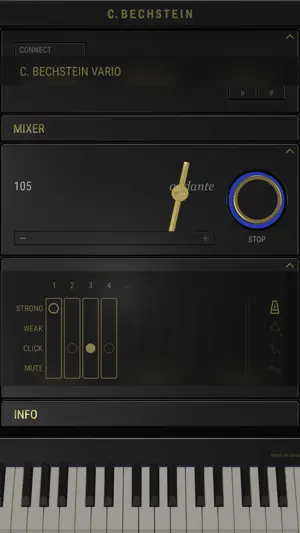 C. BECHSTEIN VARIO screenshot 2