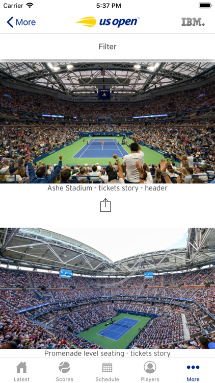 US Open Tennis Championships screenshot-6