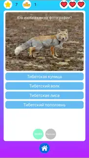 Природа и животные - викторина айфон картинки 4
