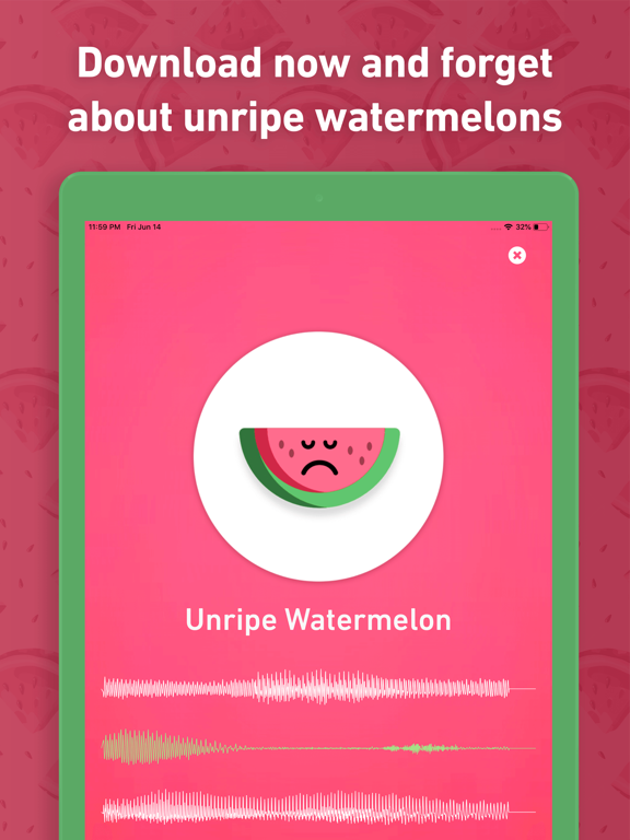 Screenshot #6 pour Melony: Ripeness Detector