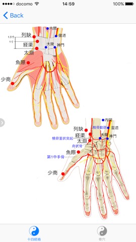 経穴マニュアルのおすすめ画像1