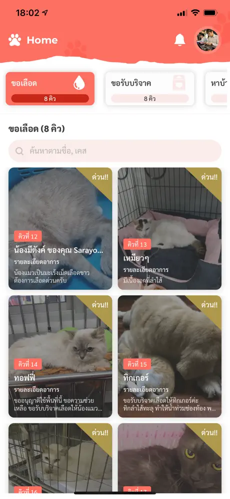 Catster