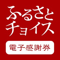 ふるさと納税払い チョイスPay