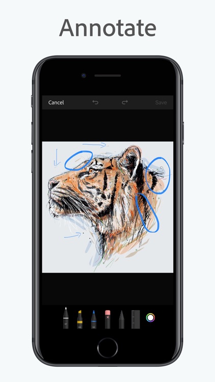 Adobe Creative Cloud screenshot-3